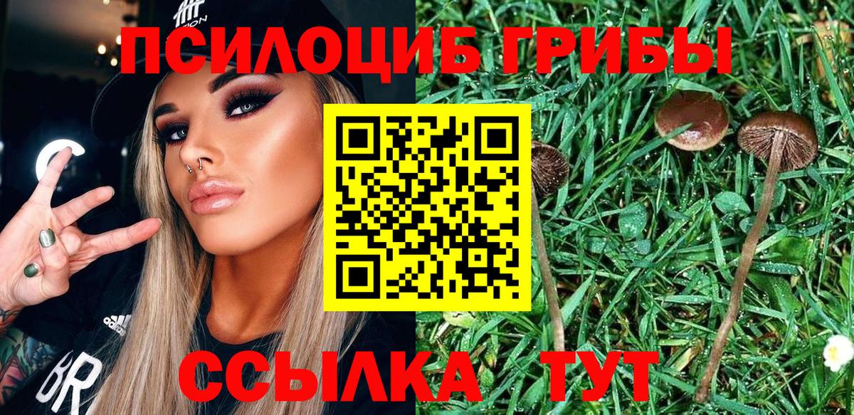 Псилоцибиновые грибы Magic Shrooms  Вход с VPN  Галлюциногенные грибы MAGIC MUSHROOMS  Нефтеюганск 